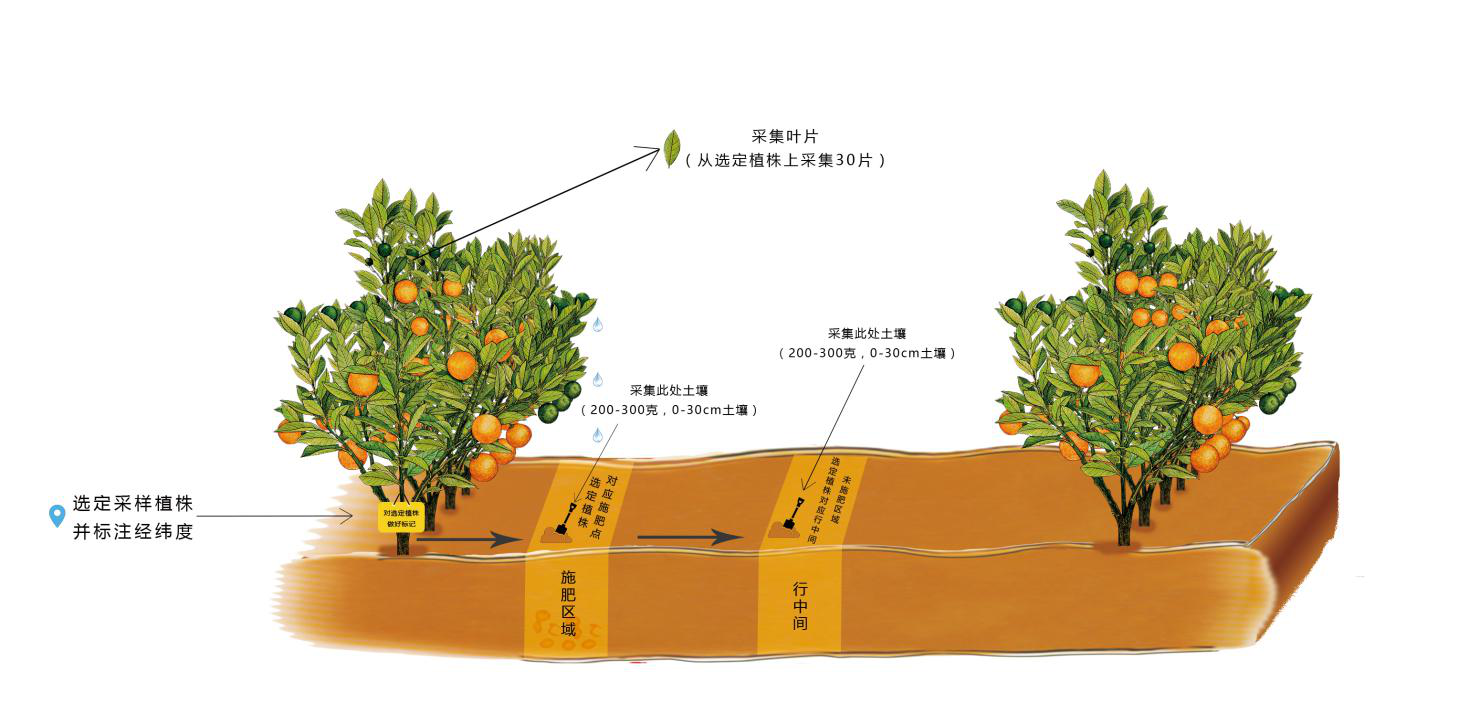 圖片1.png